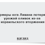Фермеры юга Ливана потеряли урожай оливок из-за израильского вторжения