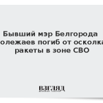 Бывший мэр Белгорода Полежаев погиб от осколка ракеты в зоне СВО