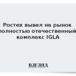 Ростех вывел на рынок полностью отечественный комплекс IGLA