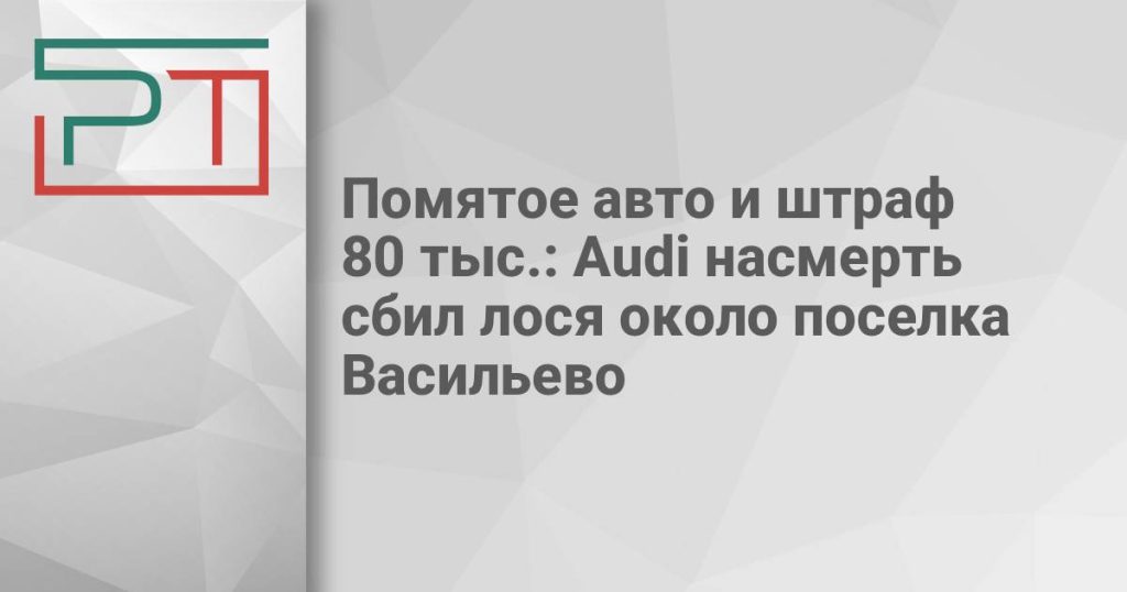 Помятое авто и штраф 80 тыс.: Audi насмерть сбил лося около поселка Васильево