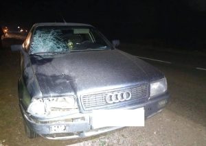 Два пешехода погибли под колесами авто в Татарстане, выйдя на дорогу ночью