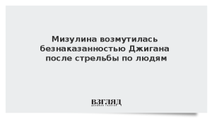 Мизулина возмутилась безнаказанностью Джигана после стрельбы по людям