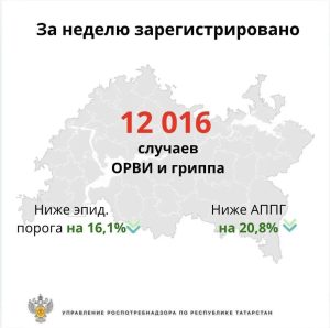 В Татарстане за неделю выявили более 12 тыс. случаев гриппа и ОРВИ