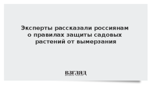 Эксперт рассказала россиянам о правилах защиты садовых растений от вымерзания