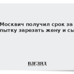 Москвич получил срок за попытку зарезать жену и сына