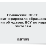 Полянский: ОБСЕ проигнорировала обращения России об ударах ВСУ по мирным жителям