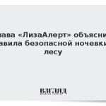Глава «ЛизаАлерт» объяснил правила безопасной ночевки в лесу