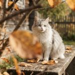 Стало известно, чем порадует погода в Татарстане в преддверии выходных