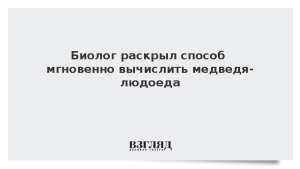 Биолог раскрыл способ мгновенно вычислить медведя-людоеда