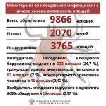 Клещевой сезон продолжается: почти 10 000 татарстанцев обратились с укусами клещей