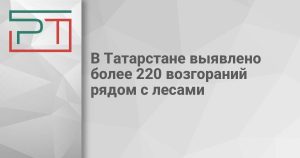 В Татарстане выявлено более 220 возгораний рядом с лесами