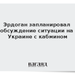 Эрдоган запланировал обсуждение ситуации на Украине с кабмином