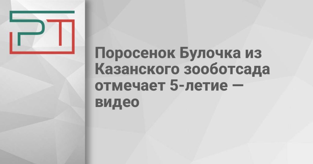 Поросенок Булочка из Казанского зооботсада отмечает 5-летие — видео