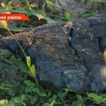 В Татарстане с пенсионерки требуют 1,5 млн за пожар, устроенный неизвестным
