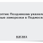 Синоптик Позднякова указала на скорые заморозки в Подмосковье