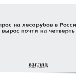 Спрос на лесорубов в России вырос почти на четверть