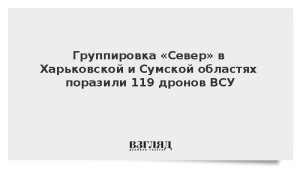 Группировка «Север» в Харьковской и Сумской областях поразила 119 дронов ВСУ