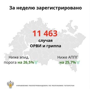 В Татарстане за неделю выявили более 11 тыс. случаев гриппа и ОРВИ