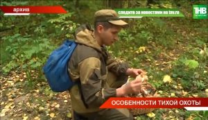 Какие грибы еще можно успеть собрать в октябре в регионах России