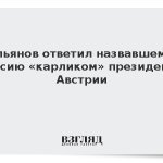 Ульянов ответил назвавшему Россию «карликом» президенту Австрии