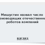 Мишустин назвал число производящих отечественных роботов компаний