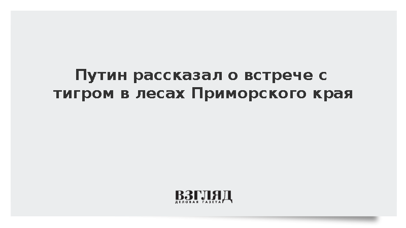 Путин рассказал о встрече с тигром в лесах Приморского края