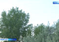 На скоростной трассе водителей призвали не тормозить ради съёмки ДТП