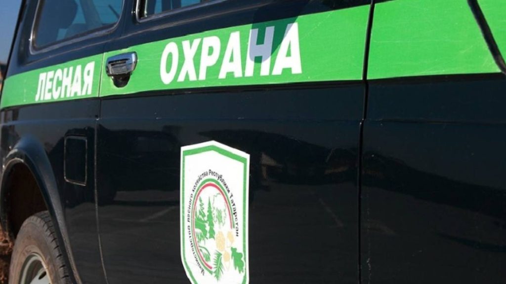 На татарстанцев составили 117 протоколов за правонарушения в лесах
