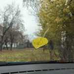 Снег, сильный ветер и не выше +6 градусов ждут Татарстан на старте выходных