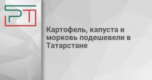 Картофель, капуста и морковь подешевели в Татарстане