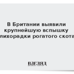 В Британии выявили крупнейшую вспышку лихорадки рогатого скота