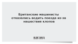 Британские машинисты отказались водить поезда из-за нашествия клопов