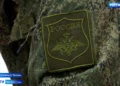Мощь в каждом движении: в Казани борются сильнейшие сумоисты страны