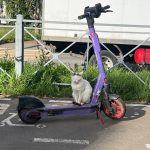 Мэр Нижнекамска планирует запретить прокат электросамокатов