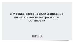 В Москве возобновили движение на серой ветке метро после остановки