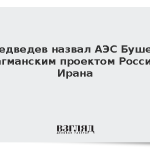 Медведев назвал АЭС Бушер флагманским проектом России и Ирана