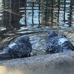 В Татарстане после морозов до -9 установится тепло до +17