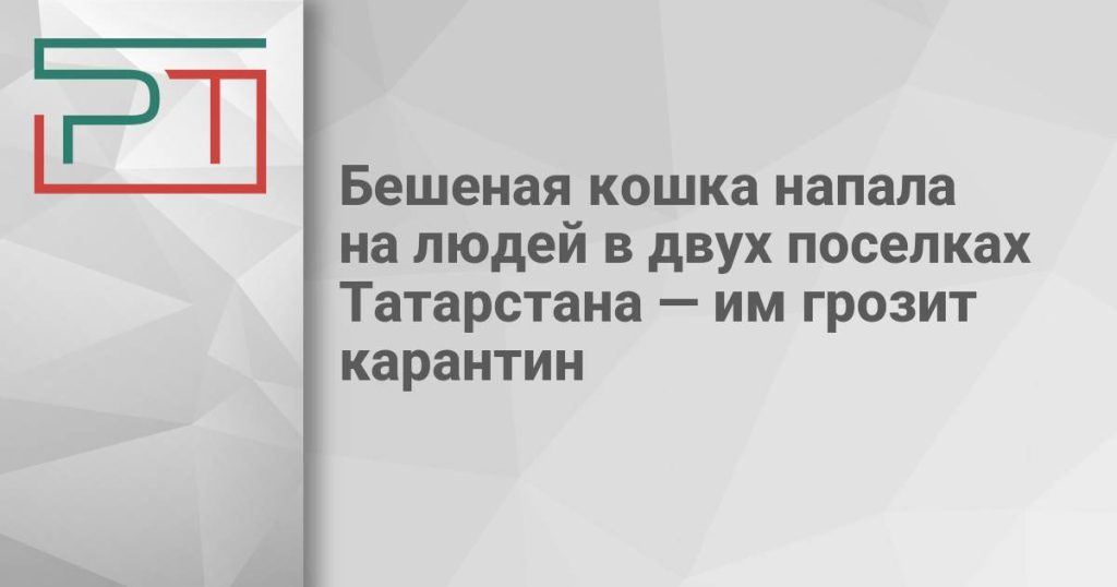 Бешеная кошка напала на людей в двух поселках Татарстана — им грозит карантин