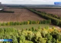 Бешеная кошка напала на женщину и охранника в Тукаевском районе
