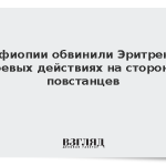 В Эфиопии обвинили Эритрею в боевых действиях на стороне повстанцев