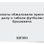 Адвокаты обжаловали приговор по делу о гибели футболиста Ерошевича