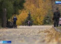 Михаил Мишустин высоко оценил успехи Татарстана в агропромышленном комплексе