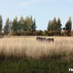 Удивительный октябрь: волна тепла до +19 градусов накроет Татарстан