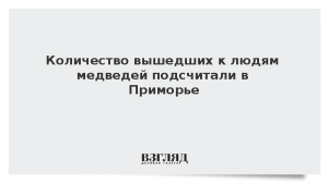 Количество вышедших к людям медведей подсчитали в Приморье