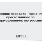 Япония передала Германии арестованного за кибермошенничество россиянина