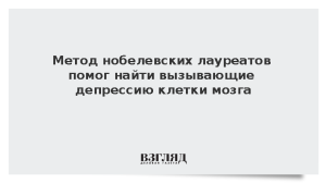 Метод нобелевских лауреатов помог найти вызывающие депрессию клетки мозга