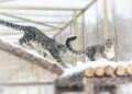 Из‑за Казанского национального полумарафона 11 октября изменятся маршруты автобусов и троллейбуса в Казани