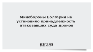 Минобороны Болгарии не установило принадлежность атаковавших суда дронов