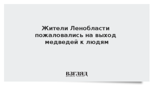 Жители Ленобласти пожаловались на выход медведей к людям