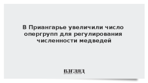 В Приангарье увеличили число опергрупп для регулирования численности медведей
